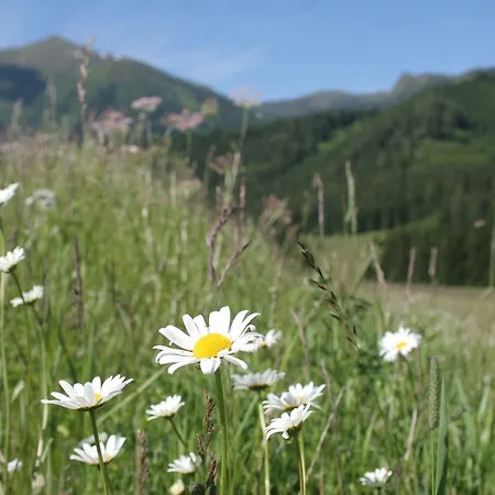 Tosca Chalet Hohentauern